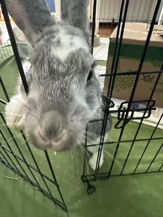Tony: Not at shelter (Sierra)