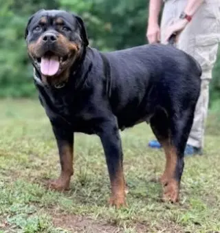 Eva