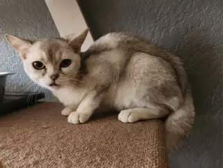 Squishy