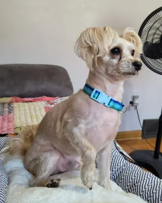 TEDDY