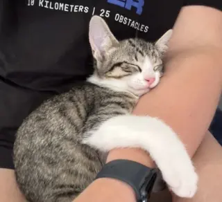 Gus