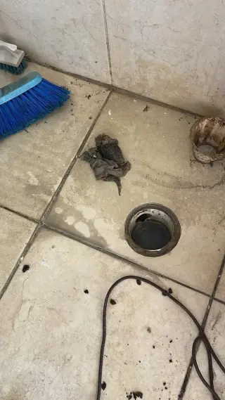 🚨🔧 ¿PROBLEMAS DE PLOMERÍA? 🔧🚨