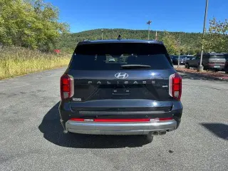 Hyundai PALISADE 2024 AWD Calligraphy 4dr SUV
