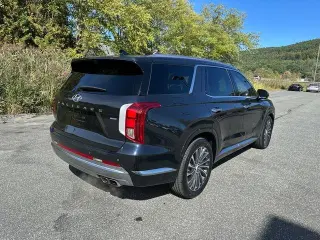 Hyundai PALISADE 2024 AWD Calligraphy 4dr SUV
