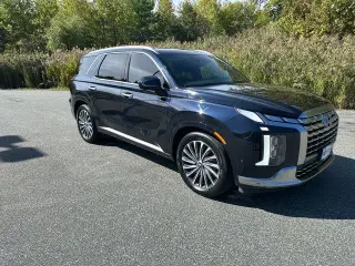 Hyundai PALISADE 2024 AWD Calligraphy 4dr SUV