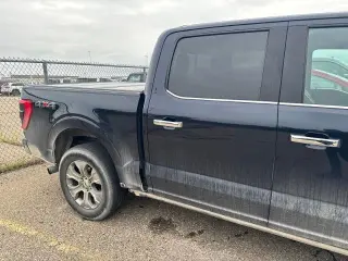 Ford F-150 2021 4x4 Platinum 4dr SuperCrew 5.5 ft. SB