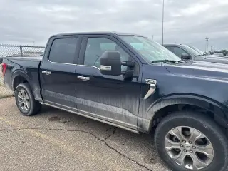 Ford F-150 2021 4x4 Platinum 4dr SuperCrew 5.5 ft. SB