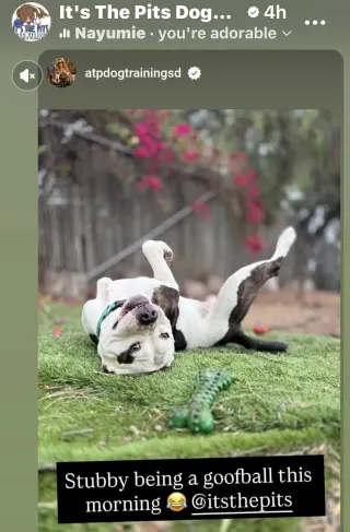Stubby