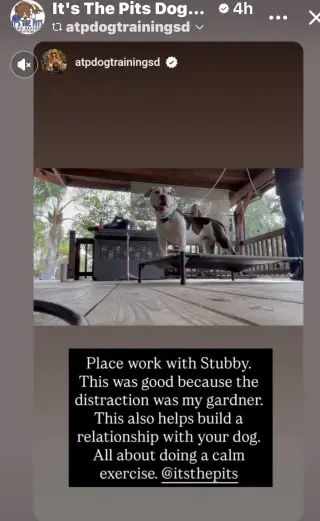 Stubby
