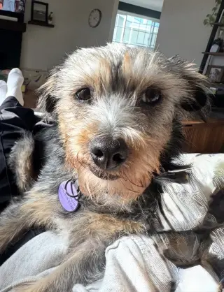 Winnie (formally Lunita)