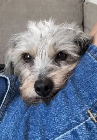 Winnie (formally Lunita)