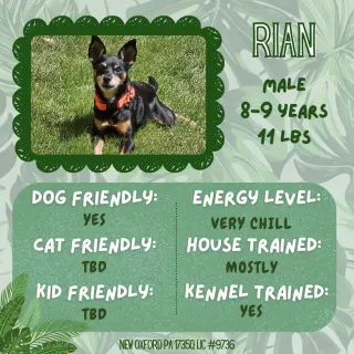 Rian
