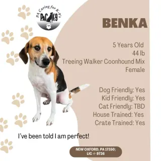 Benka