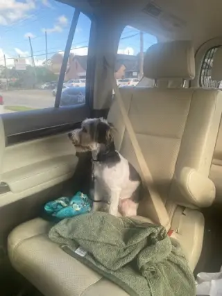 Denzel