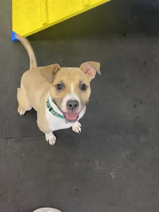 Spike COURTESY POST
