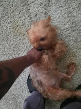 Diva(5)