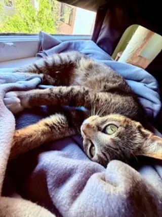 Tucker
