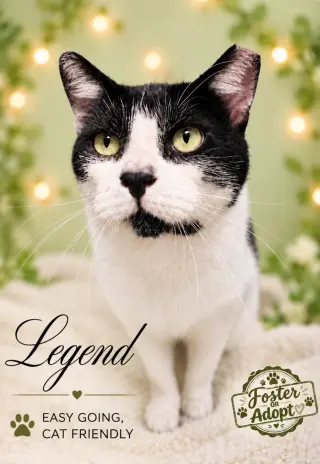Legend (FCID #07/22/2026 - 103 Jenkintown PS)