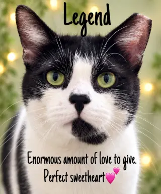 Legend (FCID #07/22/2026 - 103 Jenkintown PS)