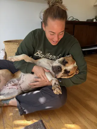 Molly Moo Cow