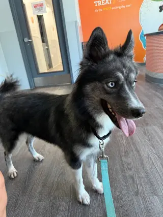 Juneau