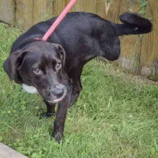 Gabby