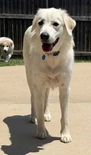 Mia