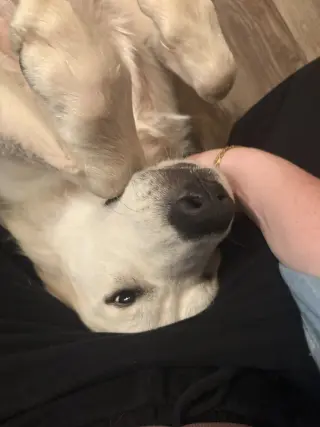 Mia