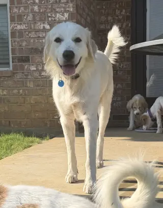 Mia