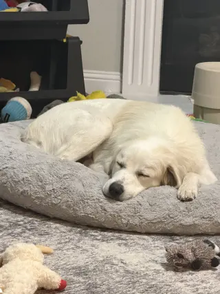 Mia