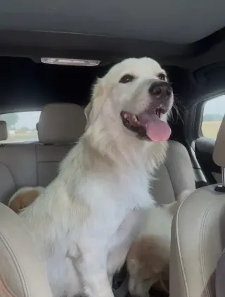 Mia