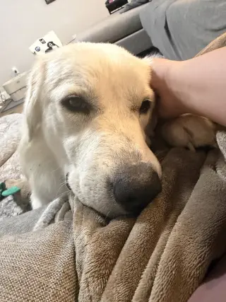 Mia