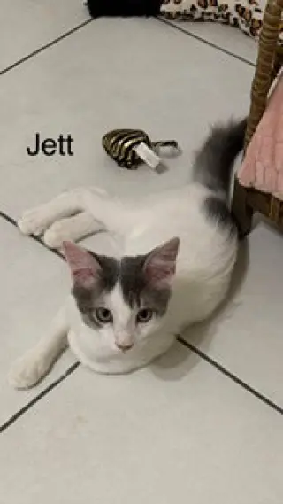 Jett