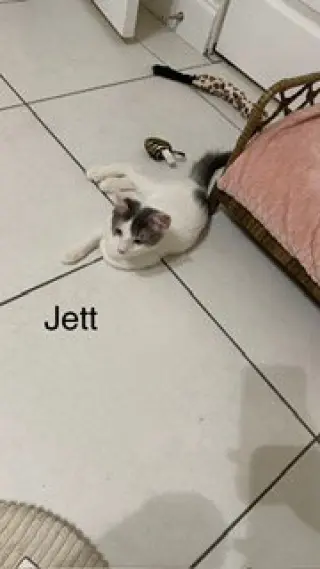 Jett