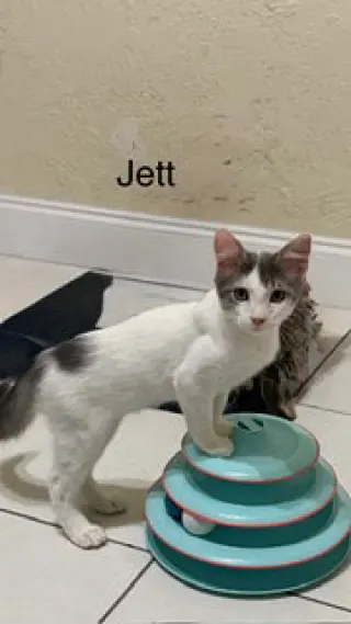 Jett