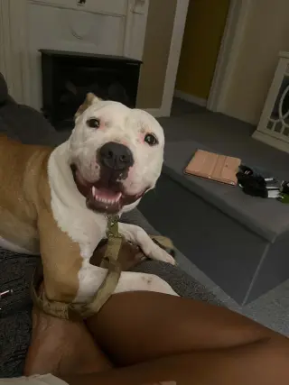 Kyia