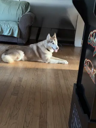 Skye