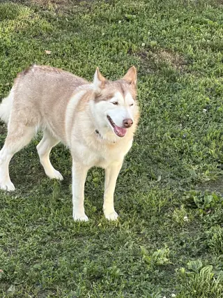 Skye