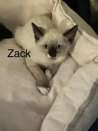 Zack