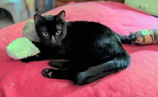 onyx