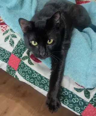 onyx