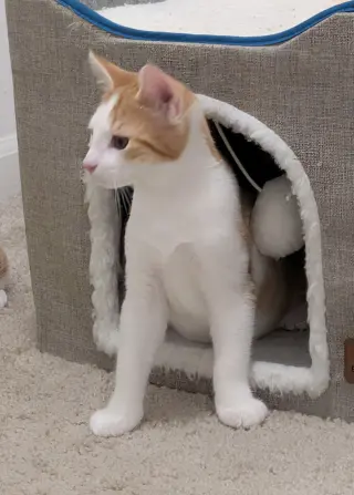 Monty