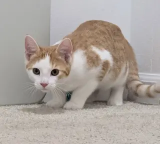 Monty