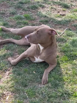 Lola (Courtesy Post)