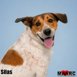 Silas