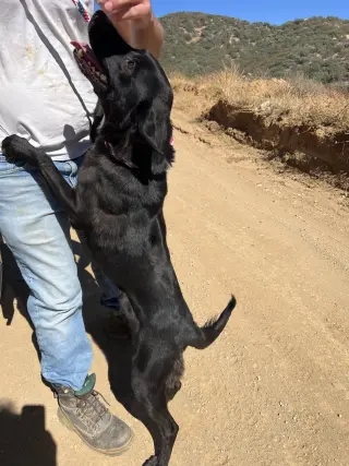 Osa