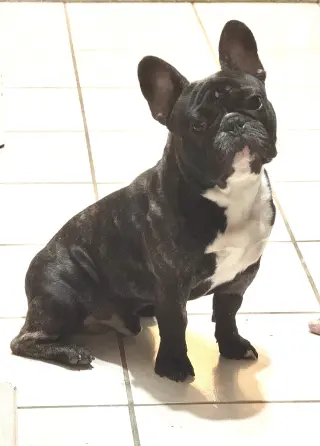 Petey French