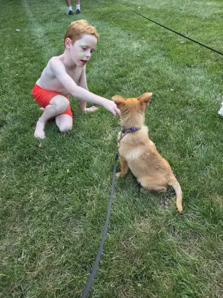 Peanut