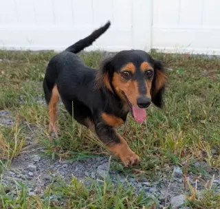 Jolene in NC