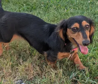 Jolene in NC